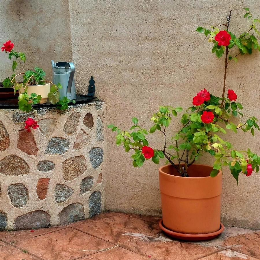 Casa Rural Abuela Reme El Fresno エクステリア 写真